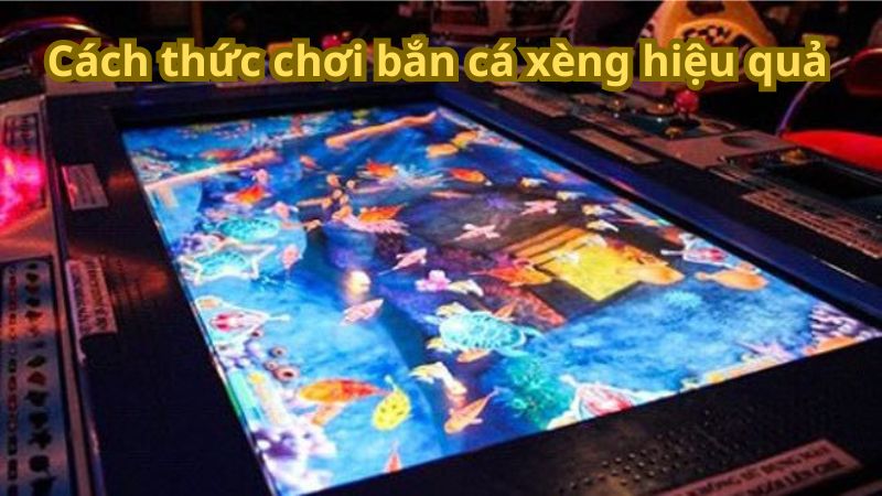 Hiểu rõ giá trị của từng loại cá