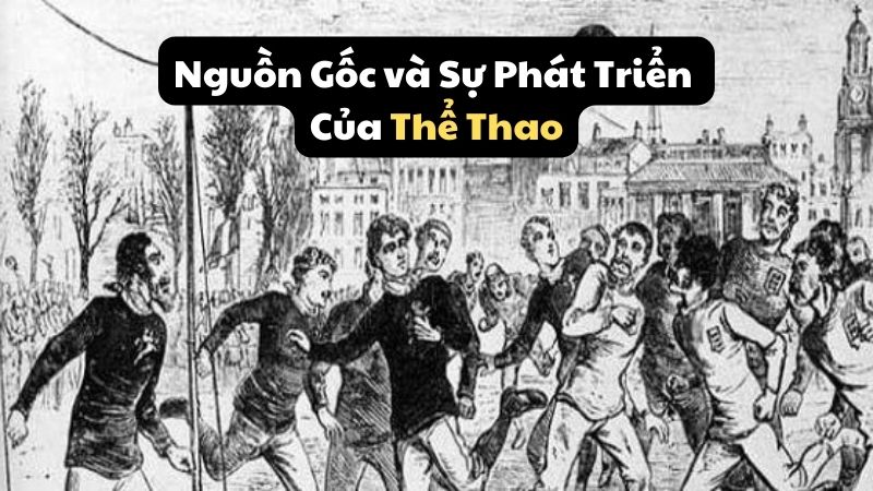 Nguồn Gốc và Sự Phát Triển Của Thể Thao