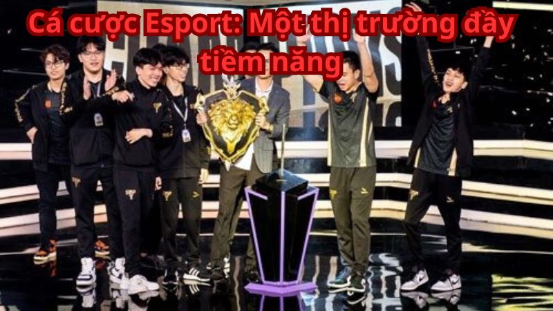 Cá cược Esport: Một thị trường đầy tiềm năng